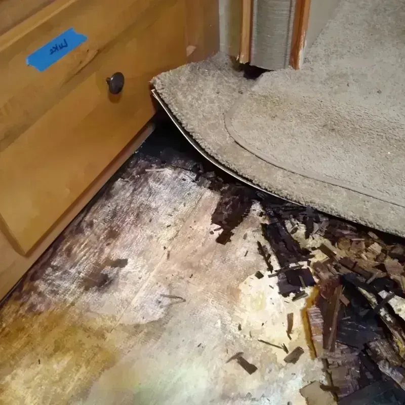 Wood Floor Water Damage in Hillandale, MD